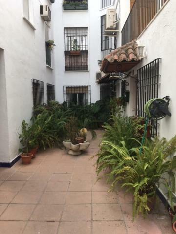 El Rincon De La Juderia Leilighet Córdoba Eksteriør bilde